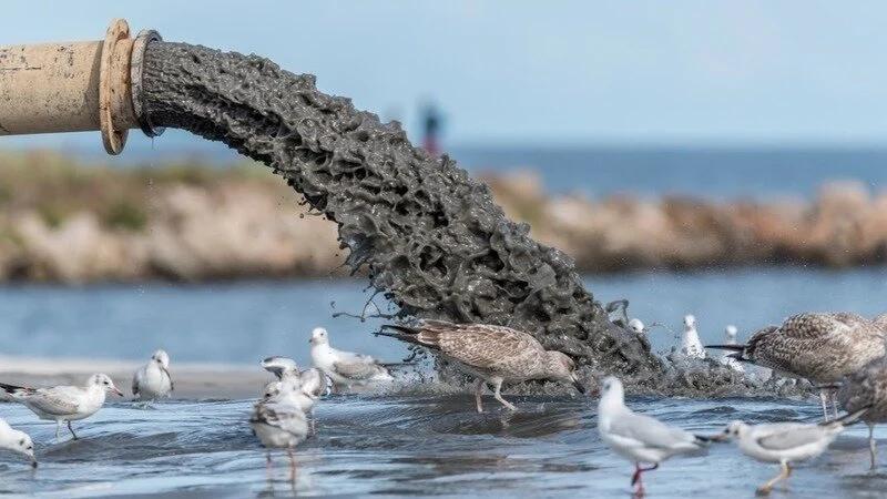 Water, The great clean Up